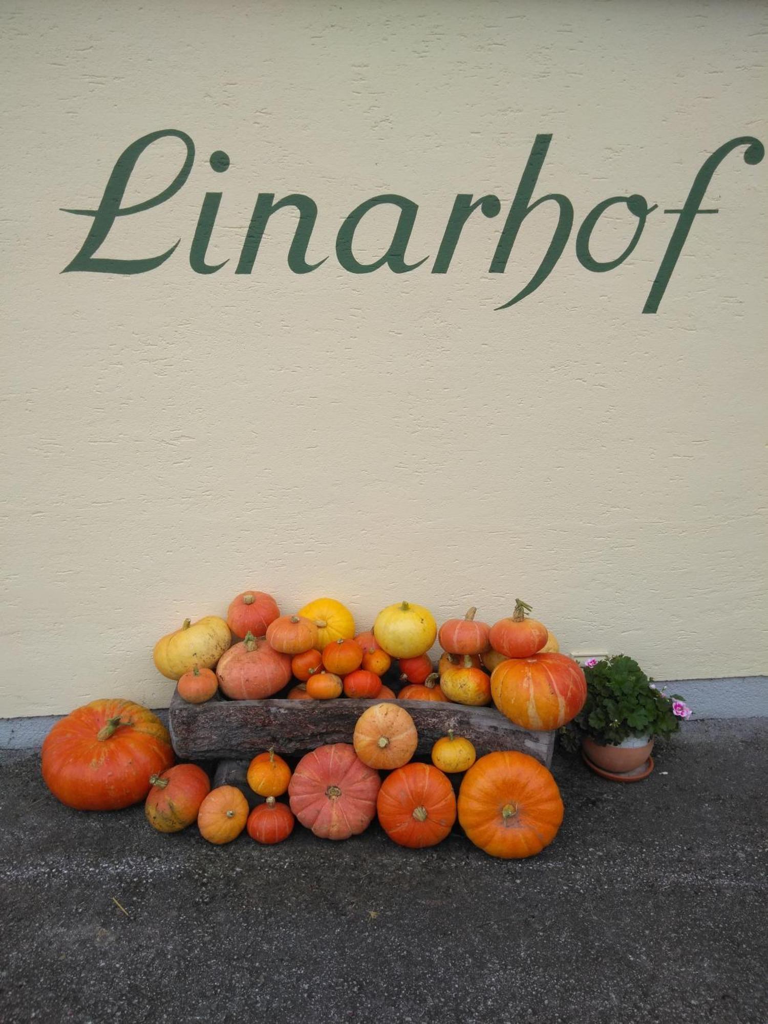 Linarhof Apartment Urlaub Am Bio Bauernhof Хаус-им-Энншталь Экстерьер фото