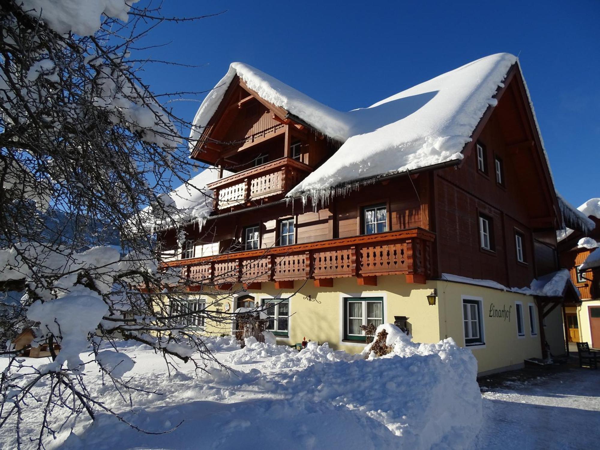Linarhof Apartment Urlaub Am Bio Bauernhof Хаус-им-Энншталь Экстерьер фото