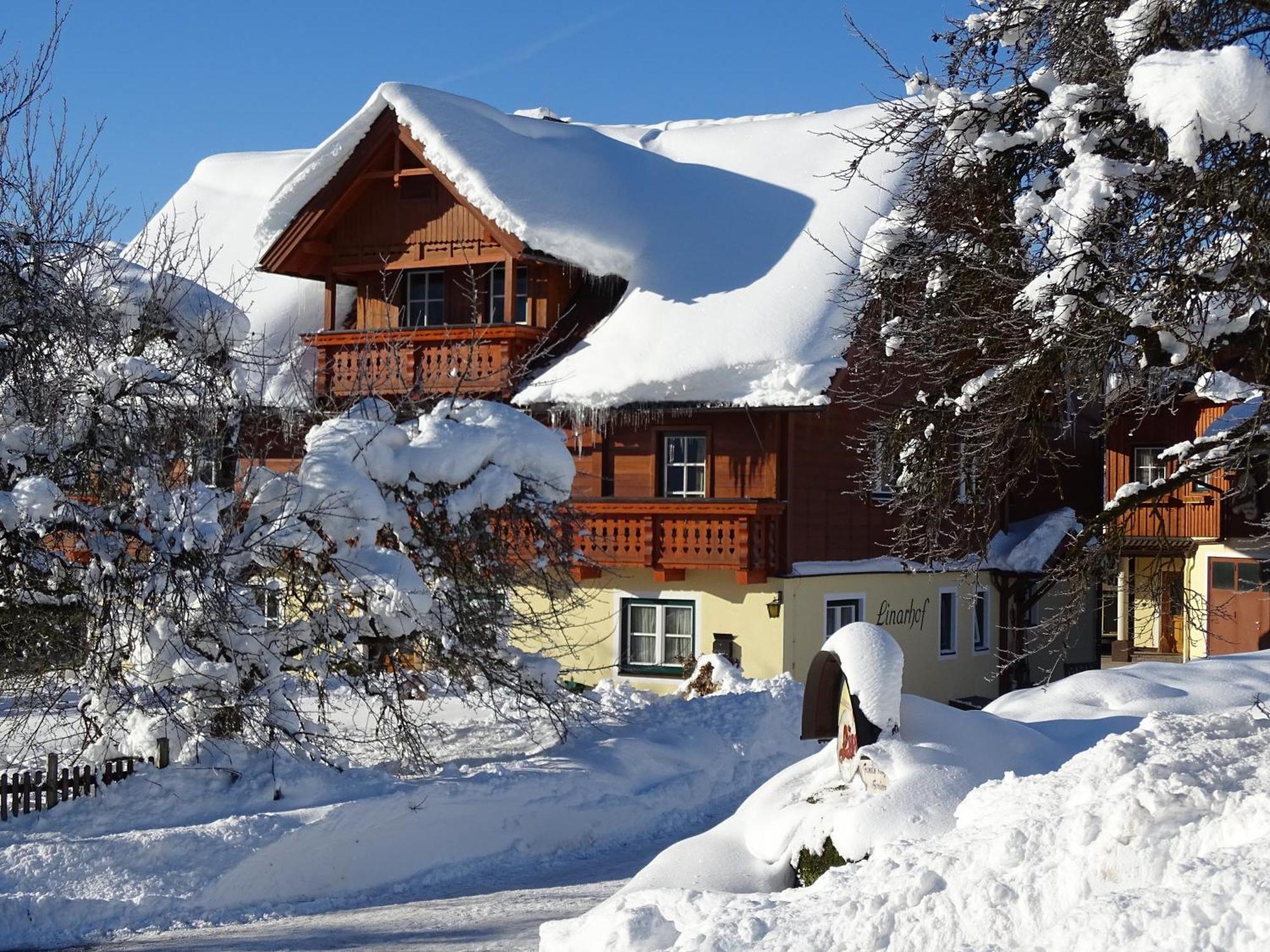 Linarhof Apartment Urlaub Am Bio Bauernhof Хаус-им-Энншталь Экстерьер фото