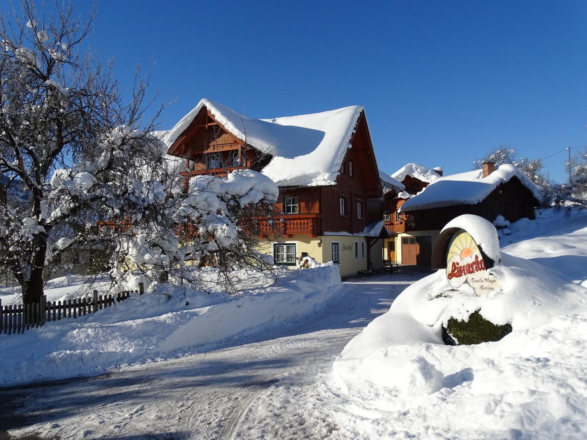 Linarhof Apartment Urlaub Am Bio Bauernhof Хаус-им-Энншталь Экстерьер фото