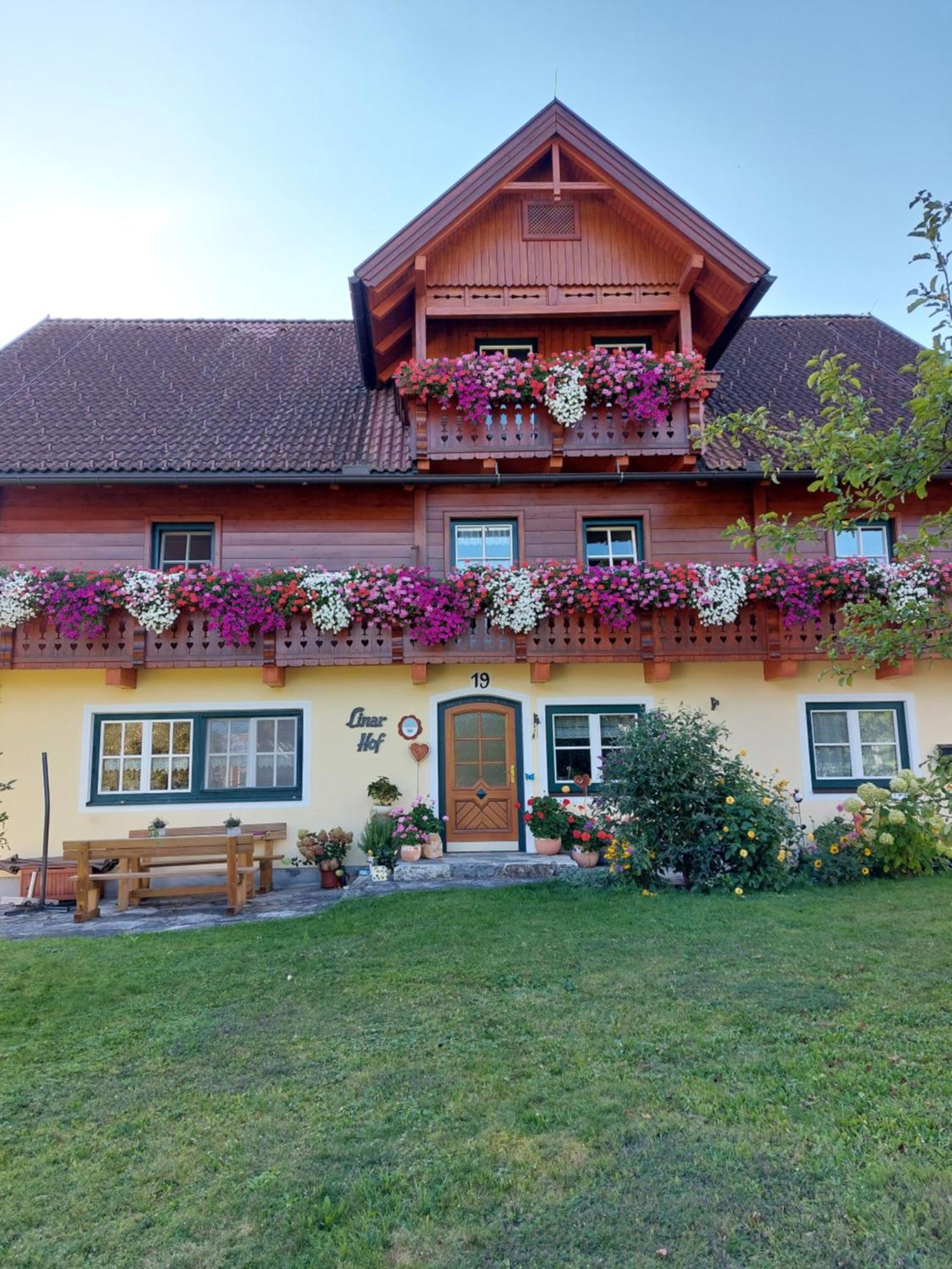 Linarhof Apartment Urlaub Am Bio Bauernhof Хаус-им-Энншталь Экстерьер фото