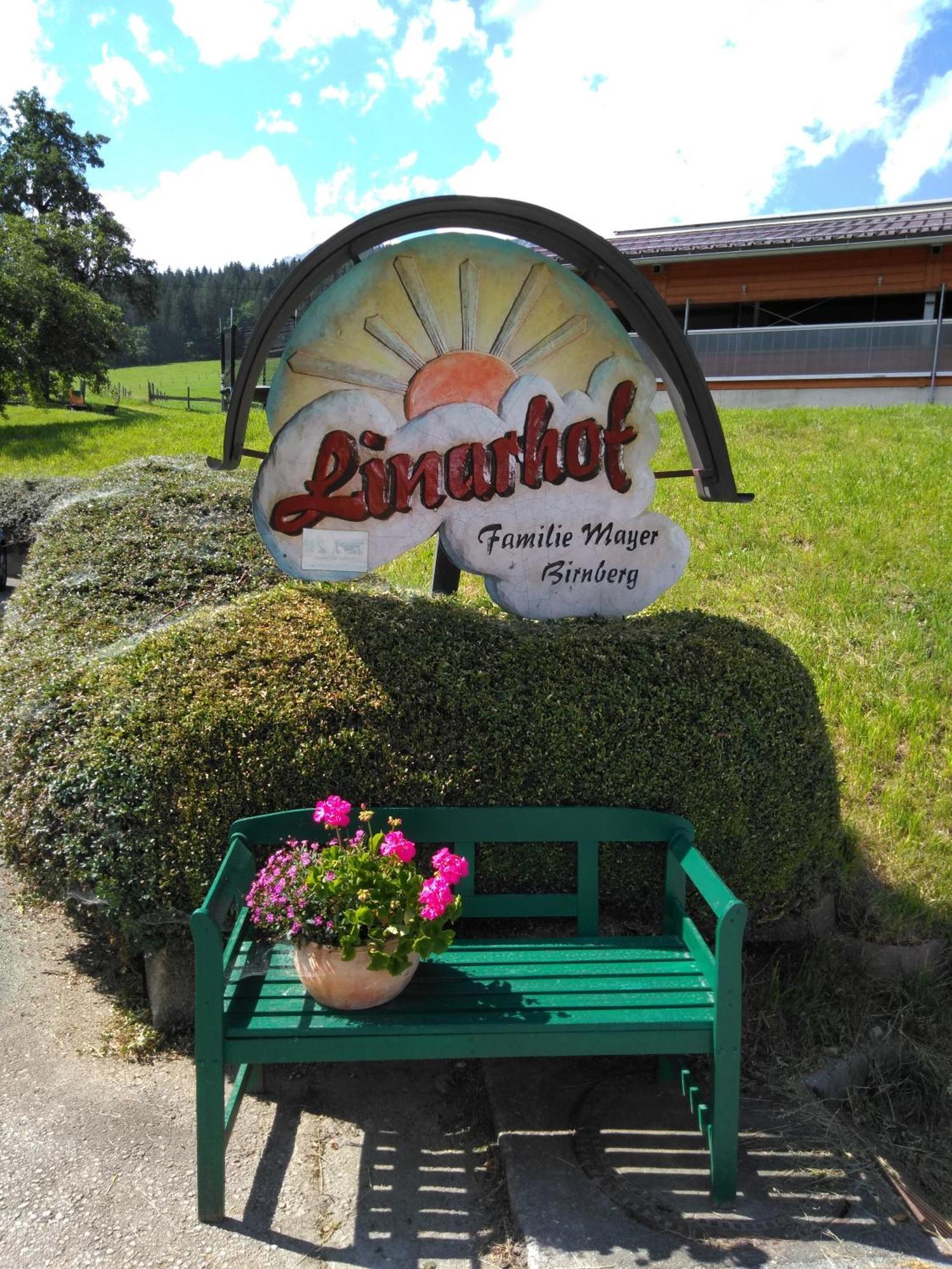 Linarhof Apartment Urlaub Am Bio Bauernhof Хаус-им-Энншталь Экстерьер фото